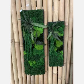 Firkantet billeder i sort trramme 2 stk 