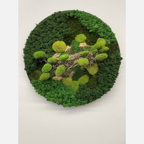 Mos billede 80 med bonzai i 3D effekt (OBS kan ikke sendes skal leveres eller hentes)