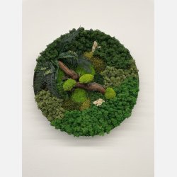 Mos billede 60 med grape gren og bregneblade 