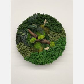 Mos billede 60 med grape gren og bregneblade 