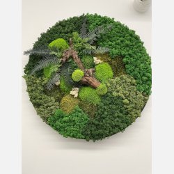 Mos billede 60 med grape gren og bregneblade 