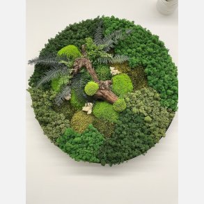 Mos billede 80 i grnne farver med trstykke og bregne blade 