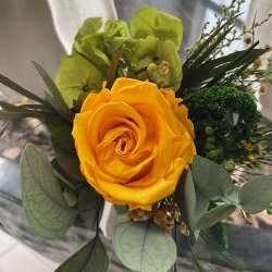 Gul forrsdrm / lille (Konserveret blomster buket lilla og grnne farver)