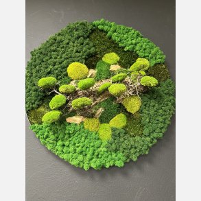 Mos billede 100 med bonzai i 3D effekt (OBS kan ikke sendes skal leveres eller hentes)