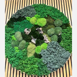 Mos-billede (egetrsramme) 100