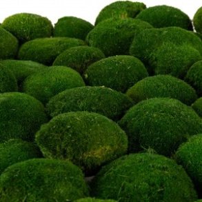 Konserveret pudemos mrk grn