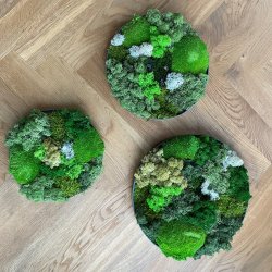 ! 8. / Mos-kit m. 3 runde rammer --- DO-IT-YOURSELF