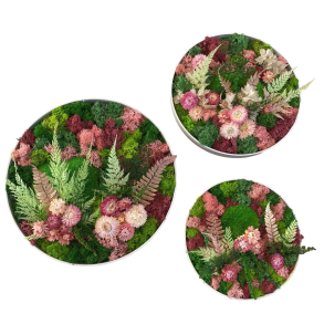 ! 9. / Mos-kit m. 3 runde rammer (blomster) --- DO-IT-YOURSELF