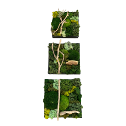 ! 6. / Mos-kit m. 3 firkantede rammer --- DO-IT-YOURSELF