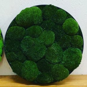 !20 / Mos-kit �40 m. m�rk pudemos