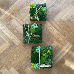 ! 6. / Mos-kit m. 3 firkantede rammer --- DO-IT-YOURSELF