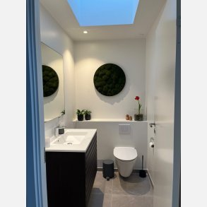 Pudemos billede i 80 mrk grn