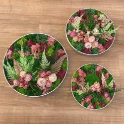 ! 9. / Mos-kit m. 3 runde rammer (blomster) --- DO-IT-YOURSELF