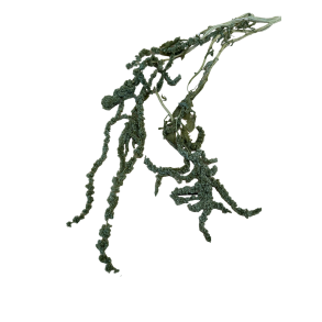 0. Bl�gr�n r�vehaler 