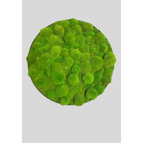 Pudemos billede i 60 mrk grn