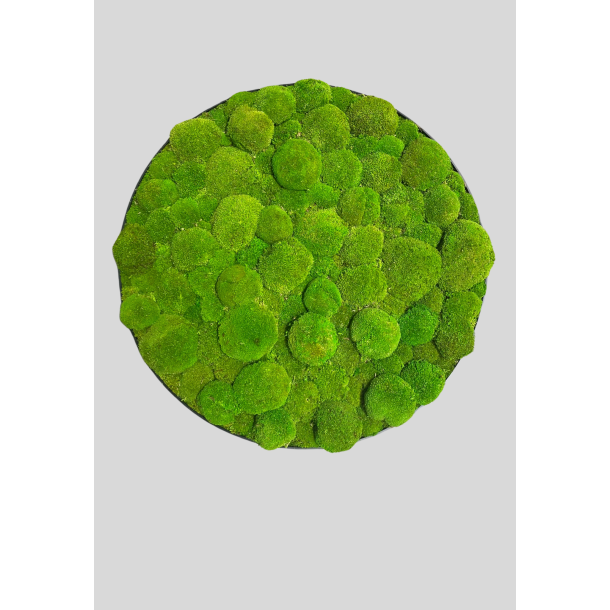 Pudemos billede i 60 mrk grn