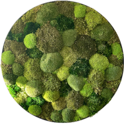 Mos-billede (Mix pudemos) 80