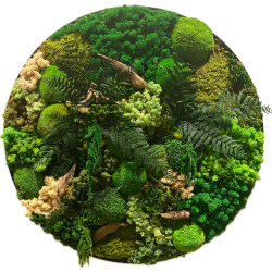 Mos-billede (Mix mos) �80