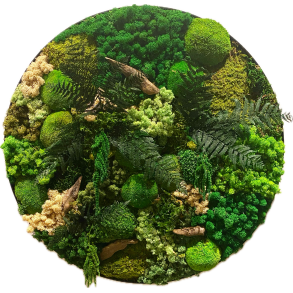 Mos-billede (Mix mos) 80