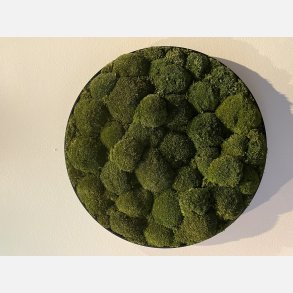 Pudemos billede i 60 mrk grn