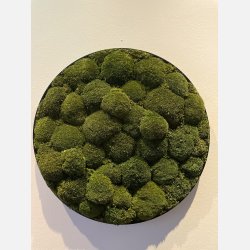 Pudemos billede i 80 mrk grn