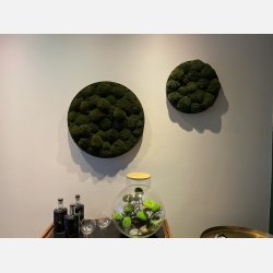 Pudemos billede i 60 mrk grn