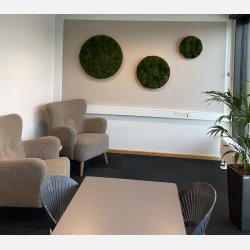 Pudemos billede i 80 mrk grn