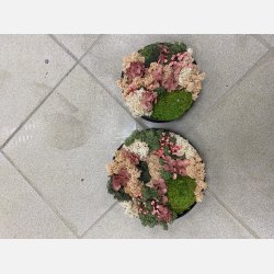  Mos kit 28 i sm genbrugspapirs rammer med konserveret hortensia 