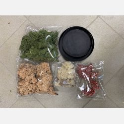  Mos kit 28 i sm genbrugspapirs rammer med konserveret hortensia 