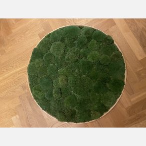  !31/ Mos-kit �80 m. m�rk pudemos i egetr�sramme