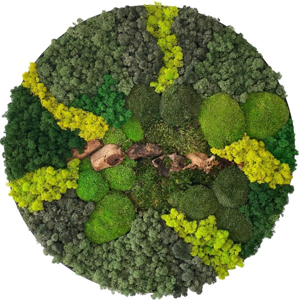 Mos-billede LIME �80 / ramme i sort b�rstet alu