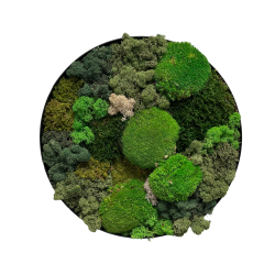 Mos-billede (ramme i sort/brstet alu) 40