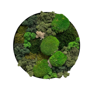 Mos-billede (ramme i sort/brstet alu) 40