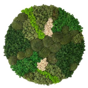 Mos-billede (ramme i sort/brstet alu) 80