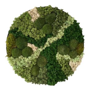 Mos-billede (ramme i sort/brstet alu) 80