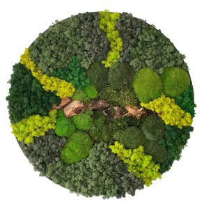 Mos-billede (ramme i sort/brstet alu) 80