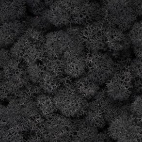 Konserveret mos Rensdyr/Sort