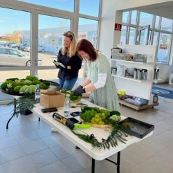  12/04 2025 kl. 10.00-14.00 / Mos-kursus (Fredericia) 