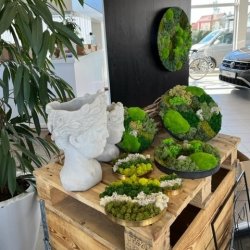  12/04 2025 kl. 10.00-14.00 / Mos-kursus (Fredericia) 