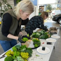 5/04-2025 kl. 10.00-14.00 / Mos-kursus (Fredericia) 