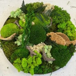  12/04 2025 kl. 10.00-14.00 / Mos-kursus (Fredericia) 