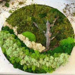  12/04 2025 kl. 10.00-14.00 / Mos-kursus (Fredericia) 