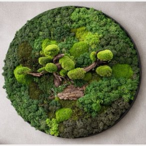 Mos-billede med bonzai i 3D effekt �80 / ramme i sort b�rstet alu (OBS kan ikke sendes skal leveres eller hentes)