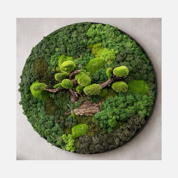 Mos-billede med bonzai i 3D effekt �40 / ramme i sort b�rstet alu (OBS kan ikke sendes skal leveres eller hentes)