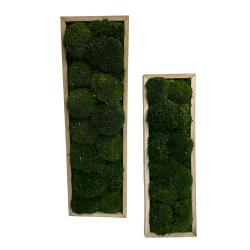 Mos kit i tr rammer  med Pudemos